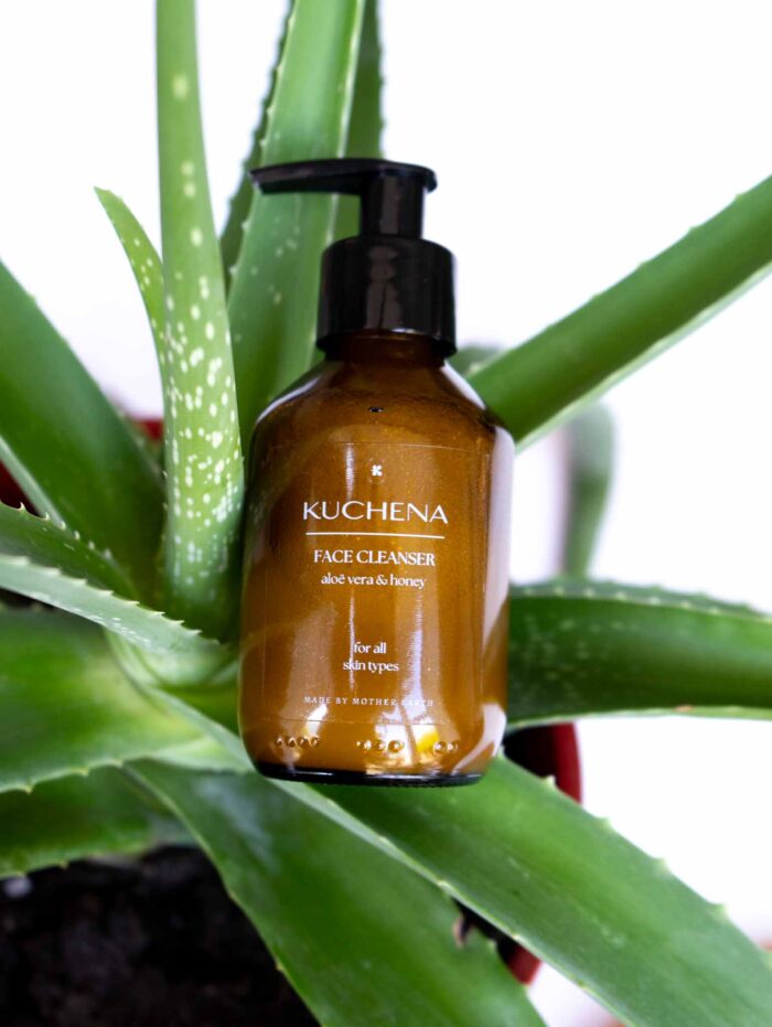 Face Cleanser – Aloe Honey – plant A bottle of Kuchena face cleanser, with aloe vera and honey, is placed among the green leaves of an aloe vera plant. The bottle is a glass amber-colored with a black pump dispenser.